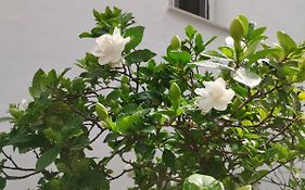 Η Ελπίδα Και Η Γιάννα Ξεκίνησαν Ένα Χώρο Cute