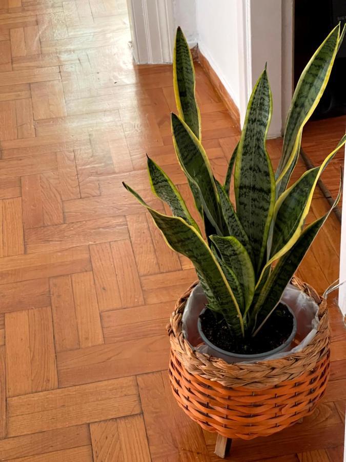Appartamento Η Ελπίδα Και Η Γιάννα Ξεκίνησαν Ένα Χώρο Cute Volos Esterno foto